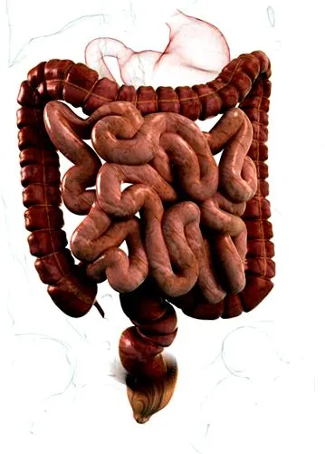 creșterea