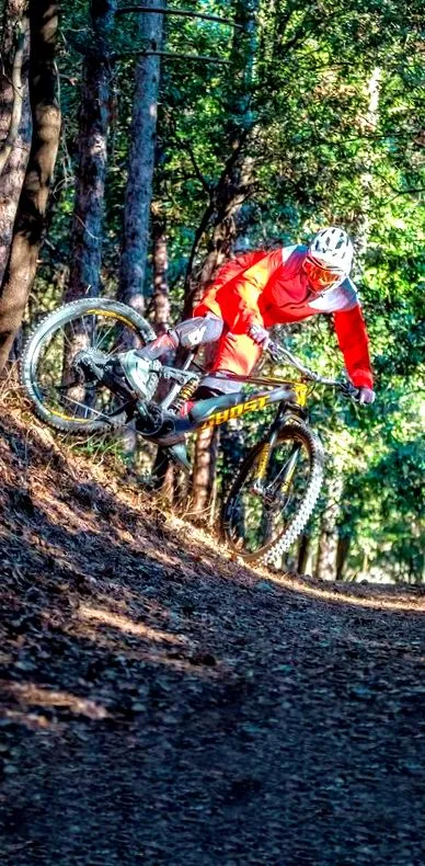 e-freerider
