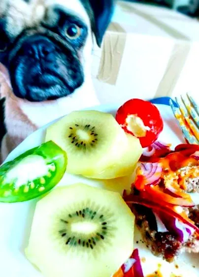 dieta