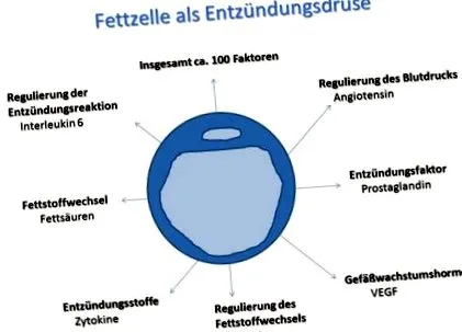 obezitatii