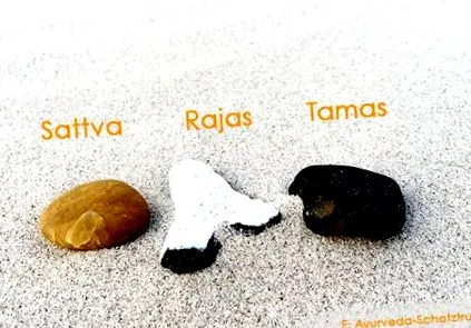 gunas