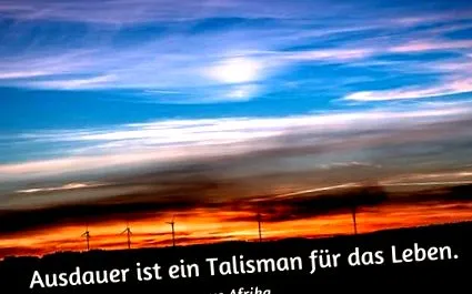 citate construi