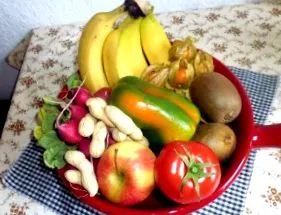 fazele vieții veganismul