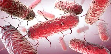 transmitere infecție