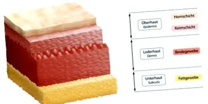structură