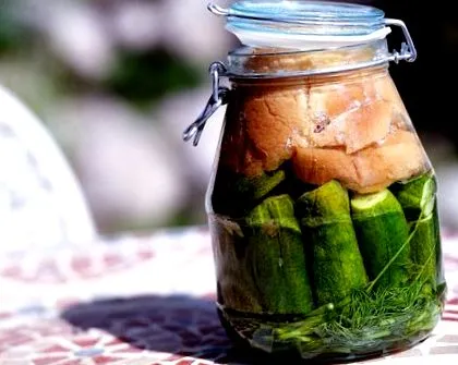 fermentare