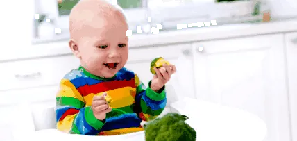 mânca