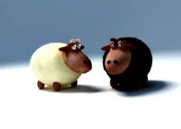 защо