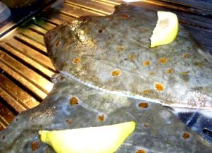 mușchiului
