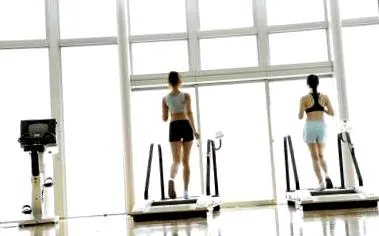 quercetin sport