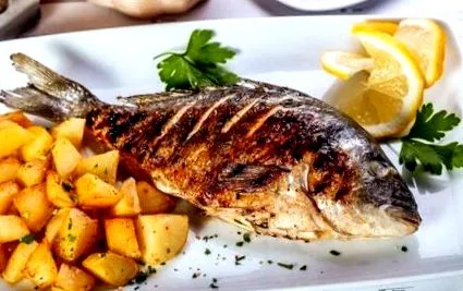 șobolan