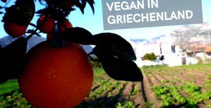 vegán görögországban