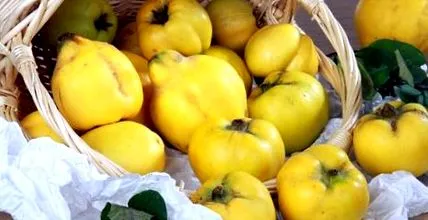 sănătoase