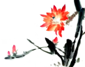medici