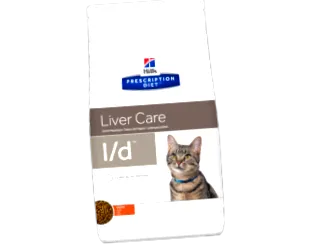 feline