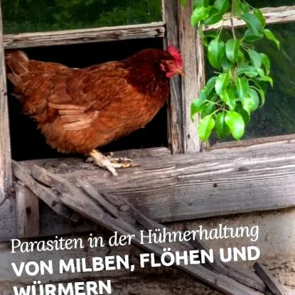 férgek férgek