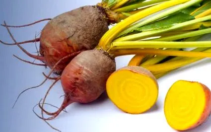 rețete