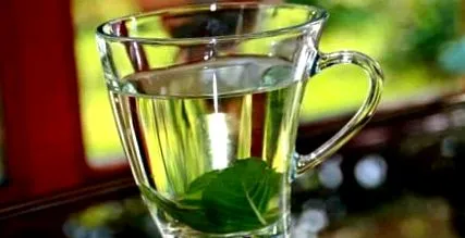detoxifiere