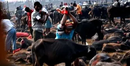 hindu india
