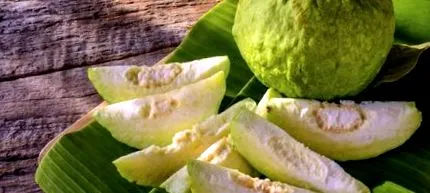 guava