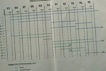 bogár