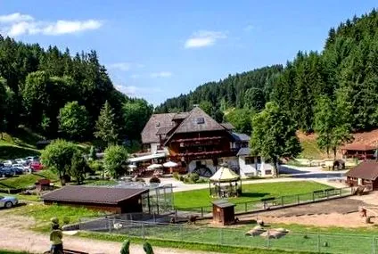 gyermekbarát