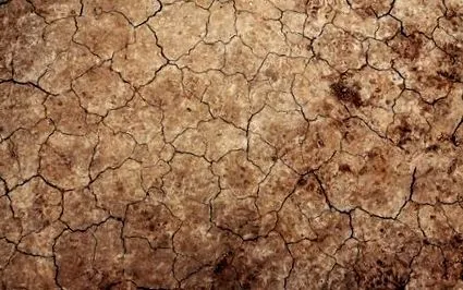 nutriția
