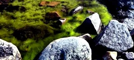 ciorba