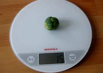 zsírossá