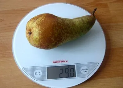 zsírra