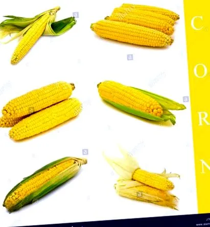mânca