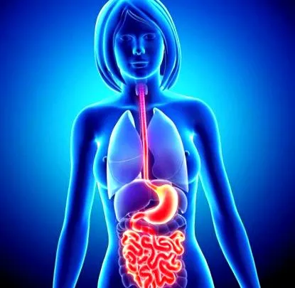intestinale