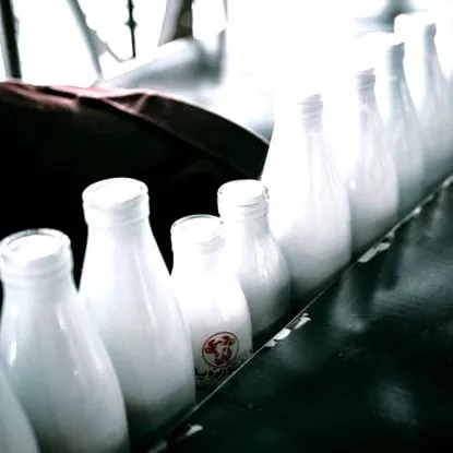 alternative produse lactate