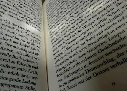drachenbuch