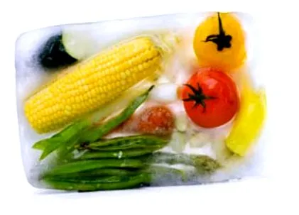 alimentelor
