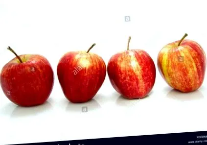 aliment