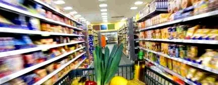 студија