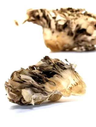 maitake