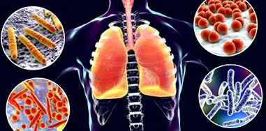 mycoplasma transmitere