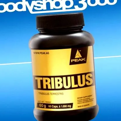 terrestris