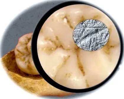 neandervölgyiek modern