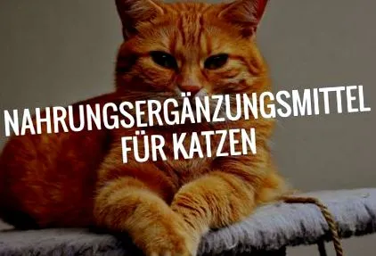 étrend-kiegészítőit