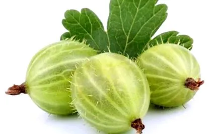 multă