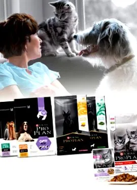 purina