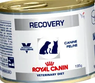 canin canin