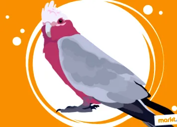caracter