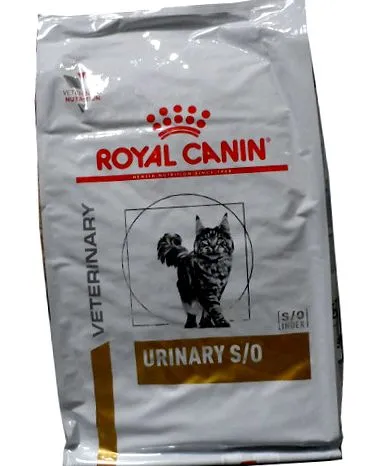 canin