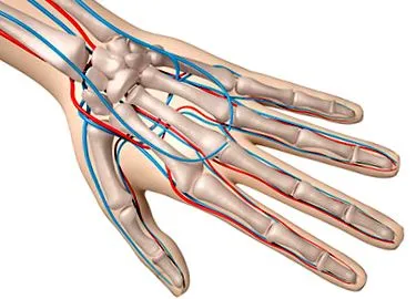 raynaud