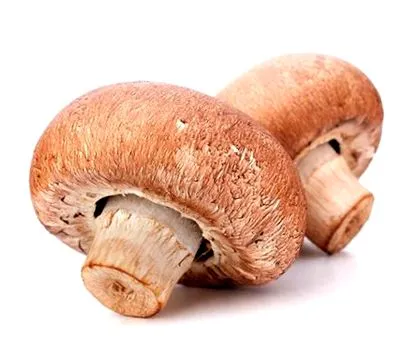 referenciák