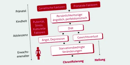 „consumul excesiv”